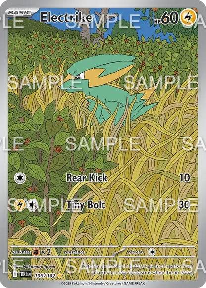 196 Frizelbliz - Electrike - DRI 196/196