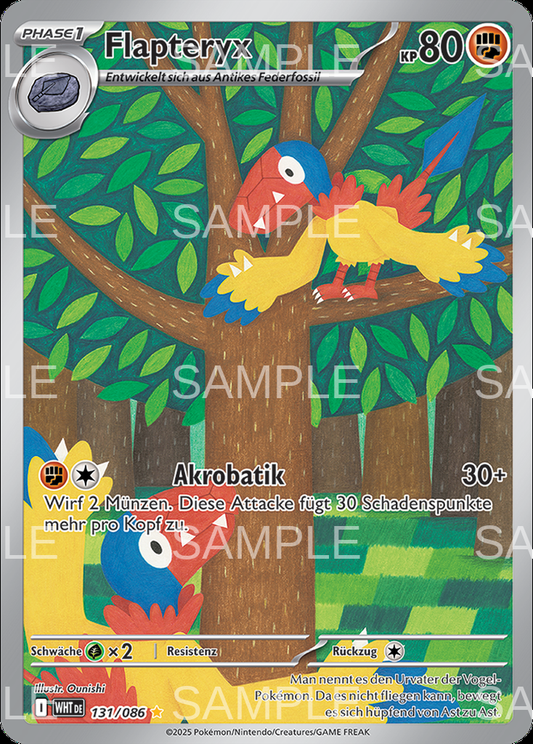 131 Flapteryx - Archen - WHT 131/086